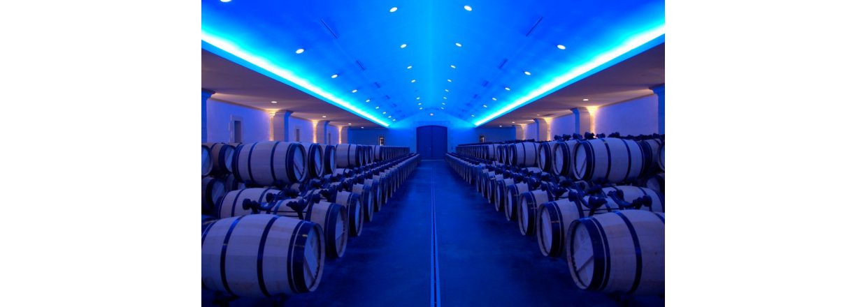 Vinopbevaring